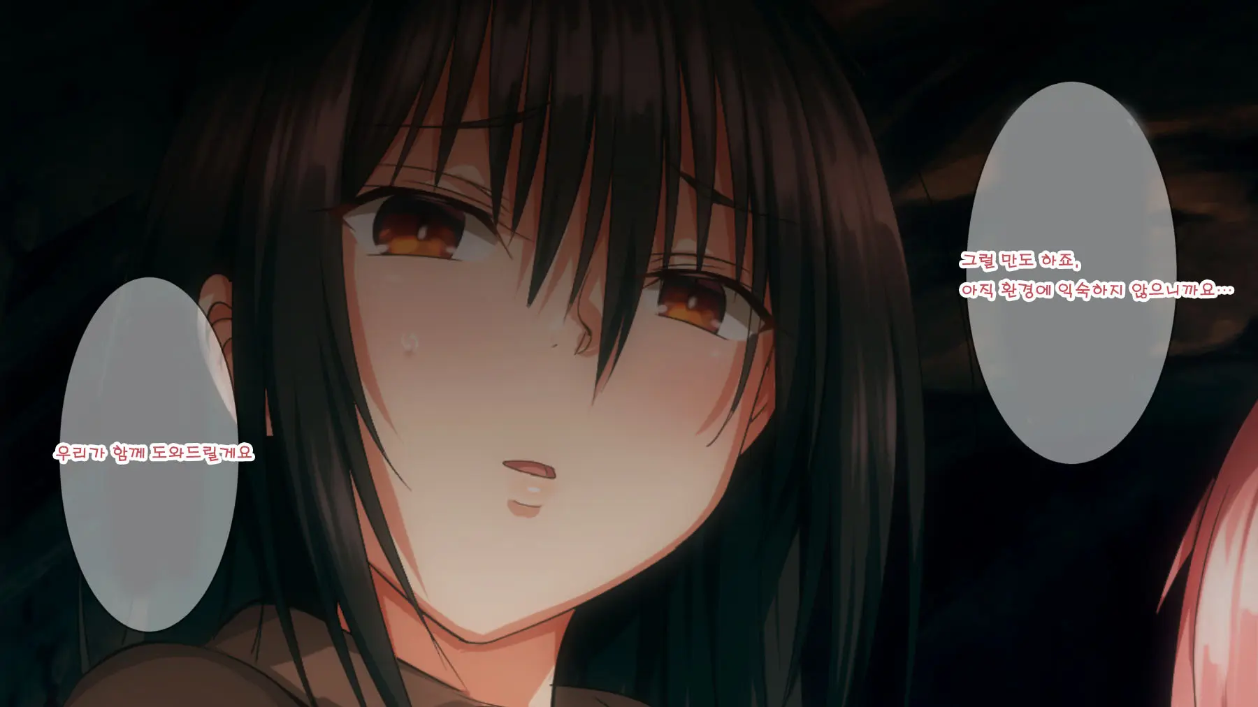 Mamono No Nie 2 ~Ishu No Ko O Haranda Boukensha-Tachi~ | 마물의 희생양 2 ~괴물의 새끼를 임신한 모험가들~